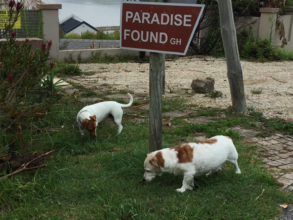 Paradise Found Книсна Екстер'єр фото